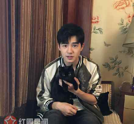 丹龙 妖猫传丹龙结局竟成惠果大师 白龙追杀丹龙因杨贵妃吗