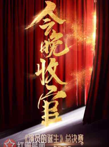 演员的诞生冠军 演员的诞生冠军是谁刘敏涛吗 冠军夜谁会杀出重围
