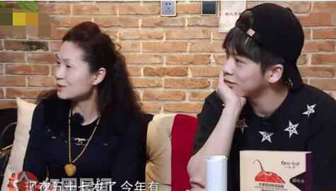 武艺个人资料 武艺的妈妈有钱么 武艺妈妈杨秀芳个人资料介绍