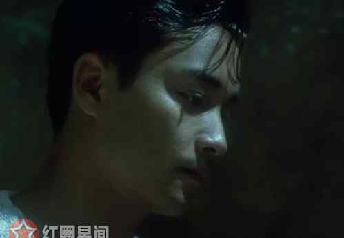 无脚鸟 阿飞正传无脚鸟的寓意是什么 无脚鸟真的存在吗