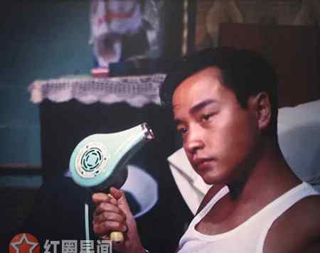 无脚鸟 阿飞正传无脚鸟的寓意是什么 无脚鸟真的存在吗