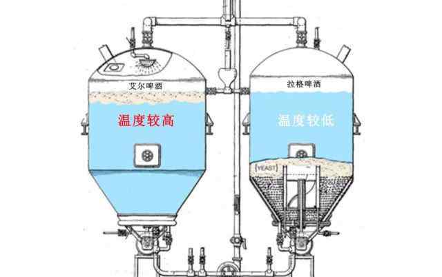 艾尔啤酒 艾尔和拉格啤酒有什么区别？