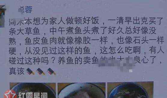怪鱼流入长沙市场新闻 神秘怪鱼流入长沙市场 高压锅炖不烂口感像橡胶