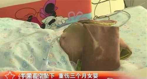 扔苹果砸中女婴 扔苹果砸中女婴致昏迷 高空坠物究竟有多危险
