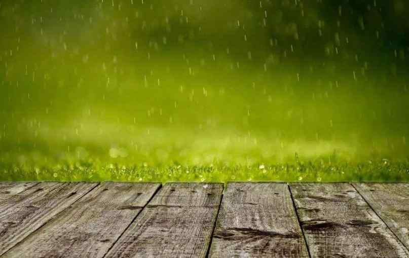 春雨润如酥 参赛者水平太差？诗词大会考“天街小雨润如酥”，竟有38人答错