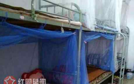寝室床上跌落身亡 女大学生寝室床上跌落身亡 睡过上铺网友瑟瑟发抖
