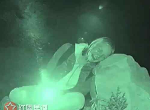 凤凰城遗忘录 凤凰城遗忘录怎么样 几大看点暴露恐惧来源