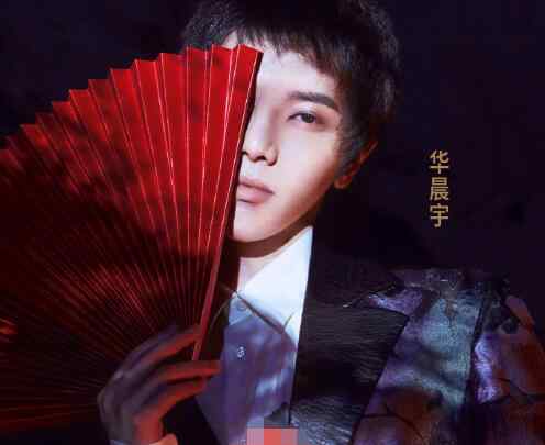 歌手名字 歌手2020第一期排名猜测 第一名是她第二名是华晨宇