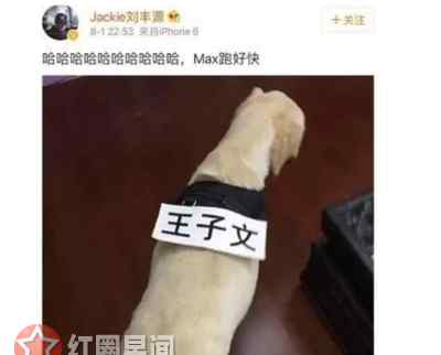 刘丰源王子文是夫妻吗 王子文刘丰源分手了吗 刘丰源家境如何是富二代吗