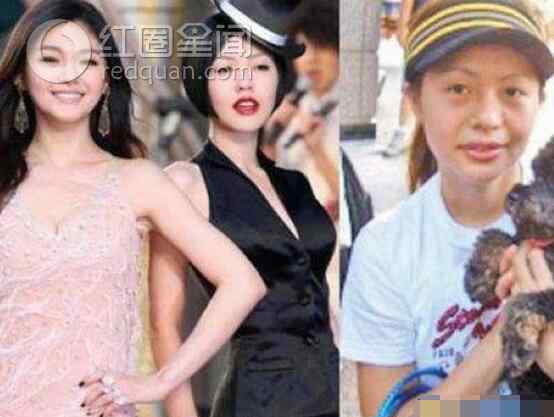明星兄弟 明星兄弟姐妹颜值大揭秘 明星兄弟姐妹对比照