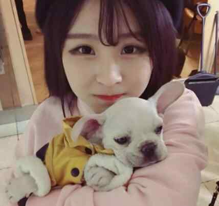猫妹妹怎么了 猫妹妹为什么流产 网友们为什么不心疼猫妹妹呢