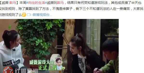 数马游戏 向往的生活数马游戏规则是这样 烧脑游戏原来这么无厘头