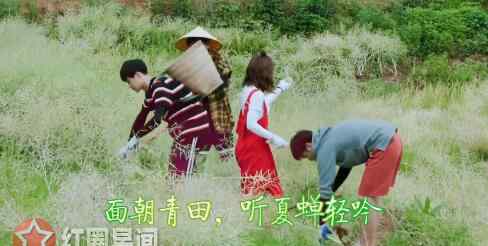 快乐大本营鬼鬼 向往的生活吴映洁哪一期播出 向往的生活鬼鬼和谁一起