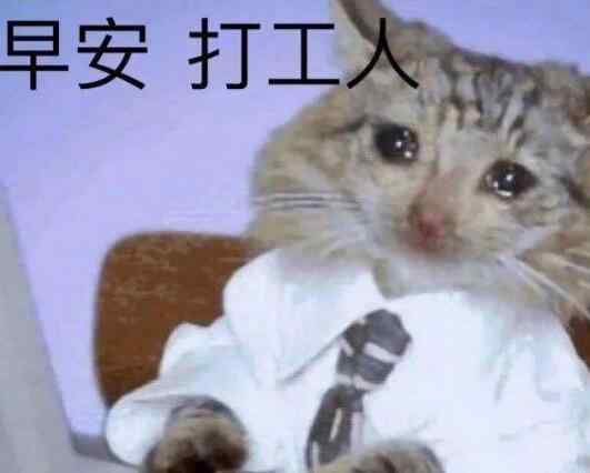 人人是什么梗 打工人什么梗 打工人人上人原来还是这个意思