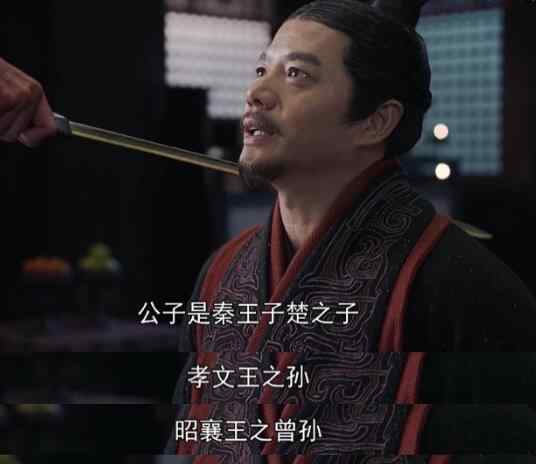 秦始皇的儿子 大秦赋嬴政是吕不韦的儿子吗 剧中嬴政身世真相到底是啥