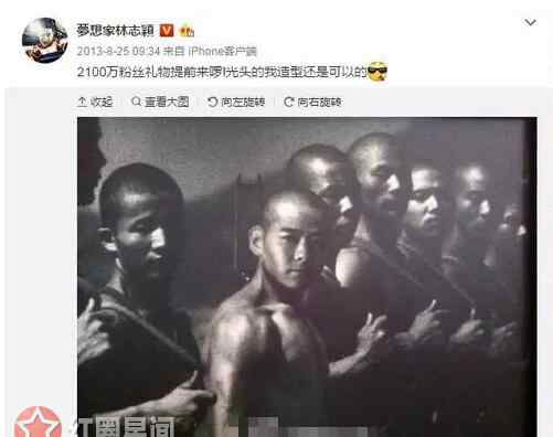 林志颖新浪微博 林志颖晒p图被判侵权后续 林志颖微博置顶致歉原作者