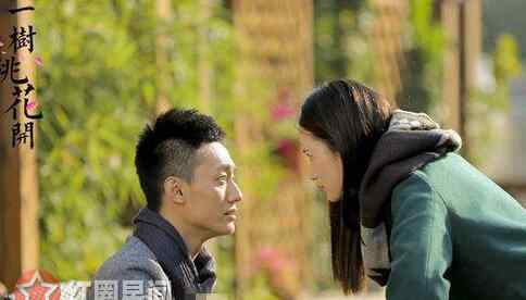 一树桃花开剧情介绍 一树桃花开盛放是谁的孩子 盛放最后嫁给谁了