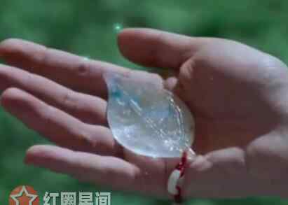 什么华秋实 香蜜沉沉烬如霜春华秋实是什么 锦觅自毁真身断情