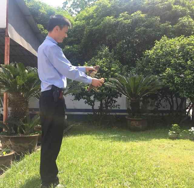 竹鸡一般什么时候抓 和办案途中的民警偶遇 三只竹鸡真是走大运了