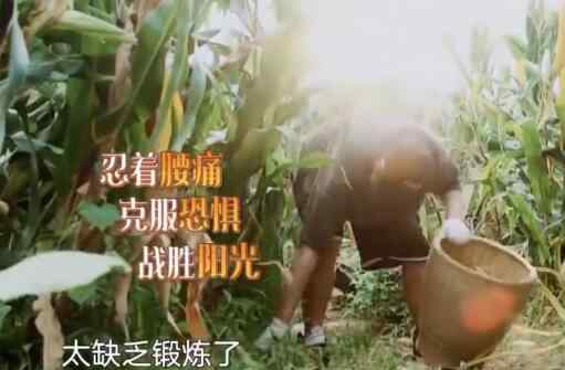 向往的生活陈赫 向往的生活陈赫点的什么菜 十全大补汤是什么鬼