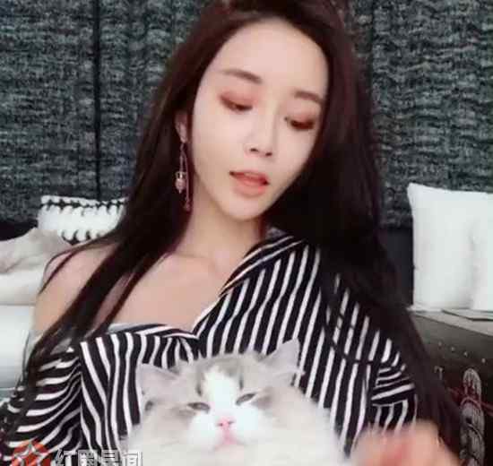 王思聪的女朋友 抖音fox严谨与王思聪什么关系 fox严谨是王思聪新女友吗