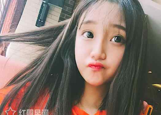 慎婕 慎婕怎么红的男友是谁 慎婕王思聪互关疑似正在交往