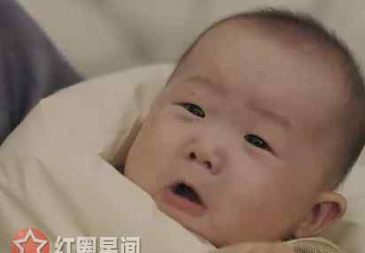 延禧攻略魏璎珞 延禧攻略十五阿哥是谁的孩子 魏璎珞为什么把孩子送人