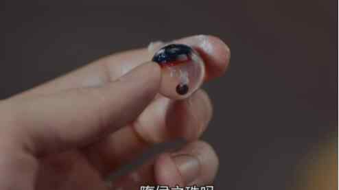 隋侯之珠 大唐女法医隋侯之珠在哪 冉颜与隋侯之珠什么关系