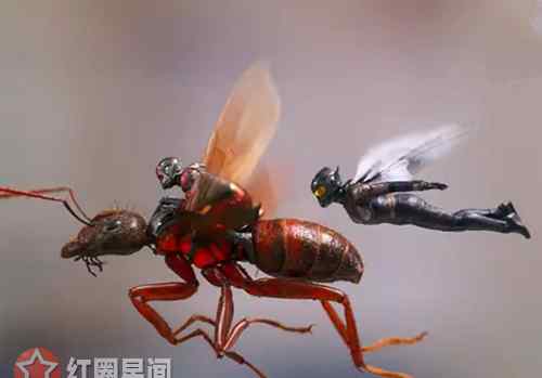 黄蜂女 蚁人2黄蜂女换人了吗 黄蜂女身世有什么秘密