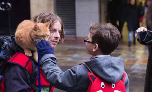 猫鲍勃 电影流浪猫鲍勃原型是谁 现实版人猫情缘感动无数人