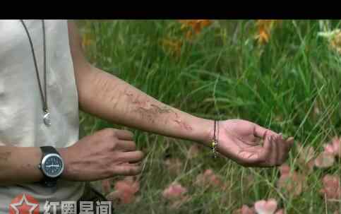 衔尾蛇 湮灭女主的纹身什么意思 衔尾蛇和外星人有什么关系