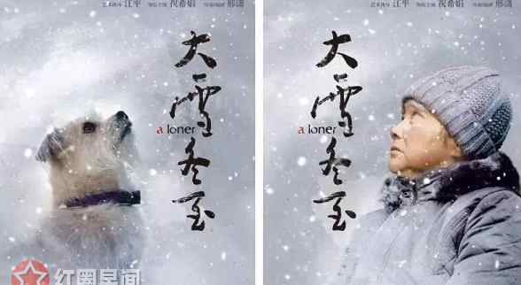 大雪冬至 大雪冬至里的狗是什么狗 大雪冬至“狗一号”扮演者介绍