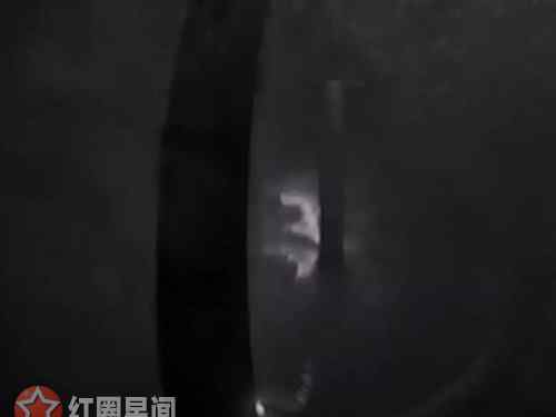 凤凰城遗忘录 凤凰城遗忘录怎么样 几大看点暴露恐惧来源