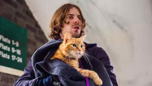 猫鲍勃 电影流浪猫鲍勃原型是谁 现实版人猫情缘感动无数人