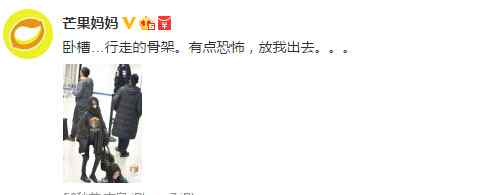 郑爽暴瘦 郑爽暴瘦腿如竹竿 郑爽怎么越来越瘦