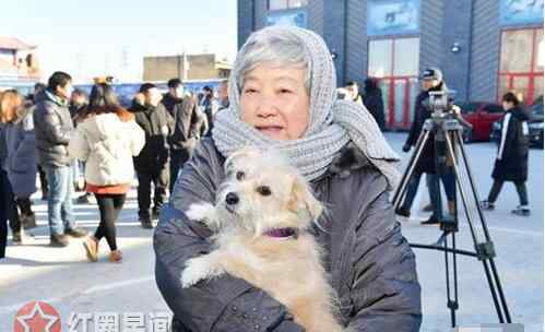 大雪冬至 大雪冬至里的狗是什么狗 大雪冬至“狗一号”扮演者介绍