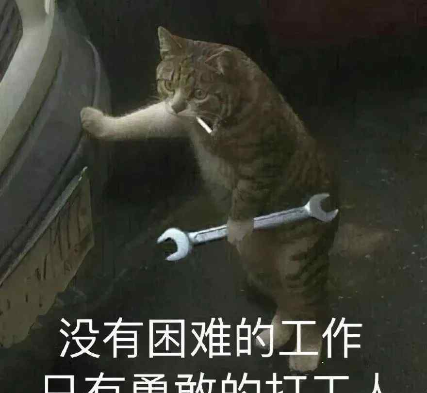 加油英文fighting “加油打工人”别翻译成“fighting workers”