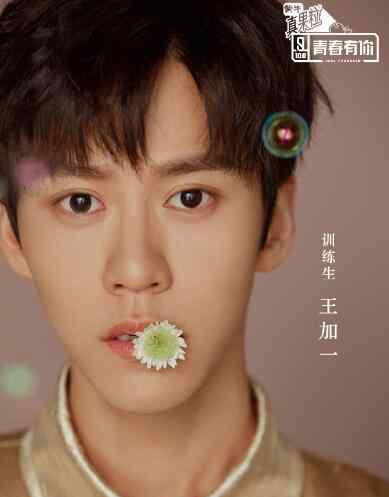 王加一 焦迈奇王加一什么关系 青春有你王加一是谁