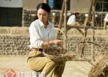 家有九凤每个人的结局 花儿与远方大凤谁演的结局如何 大凤为什么没孩子