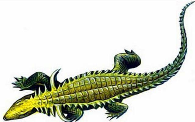 两亿年前有一种长着角的鳄鱼，体长5米有一人多高