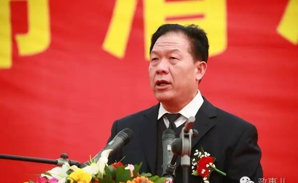 戴羽彤