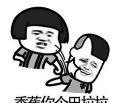 万能查询网