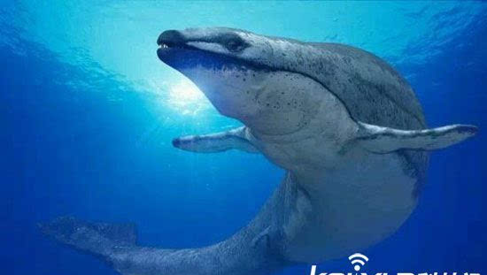 古蜥鲸龙王鲸梅尔维尔鲸远古巨兽大争霸