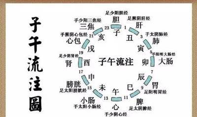 中医经络穴位巧记方法与诀窍