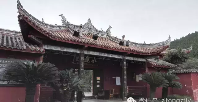水观音观音会