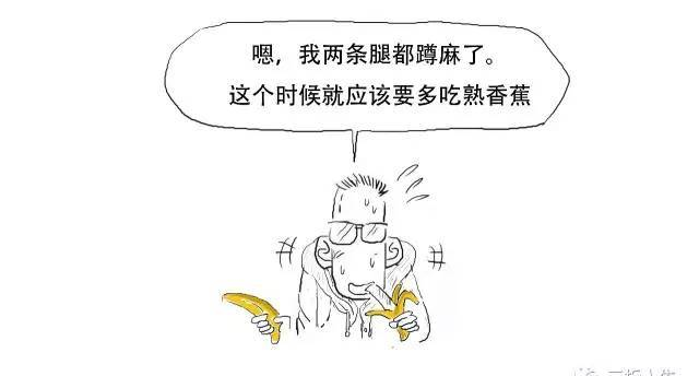 恋与白侍从