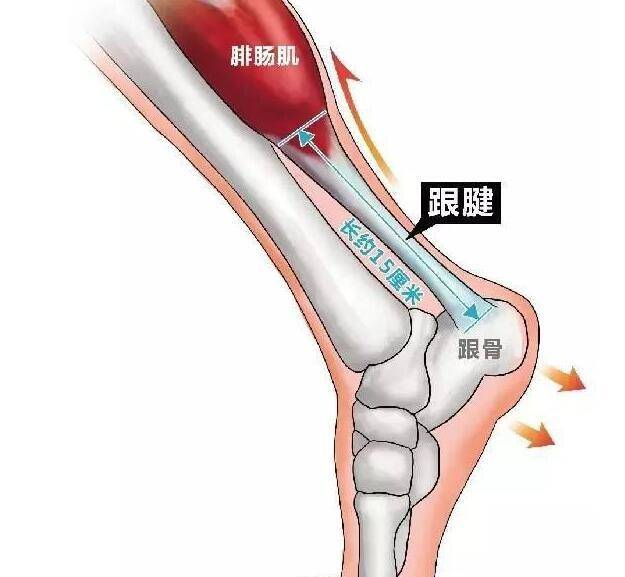 以为会化妆