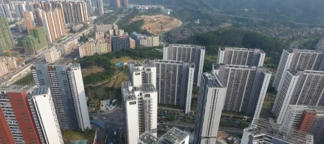 杨大爷