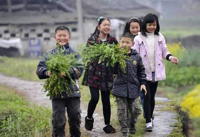 3月3的地菜子，你以为只是好吃？赶紧告诉其他人！