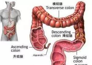 中国证券英才网